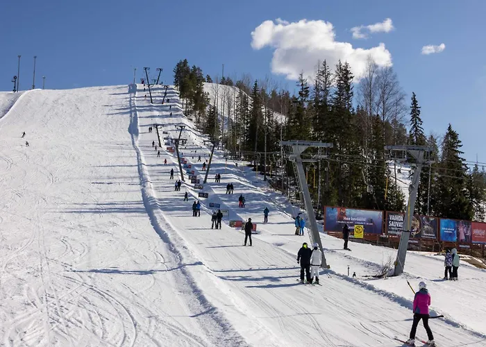 Luxury Havu וילה Himos